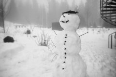 IMG_20220204_203236_383