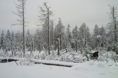 IMG_20220111_094308